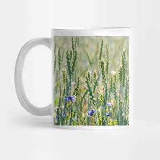 Cornflowers in a wheat field Mug